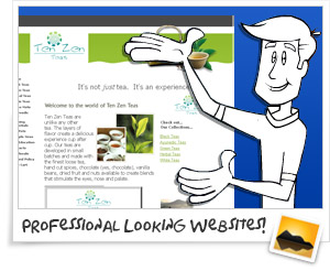 Professional Looking Website Builder