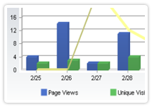 sample of web statistics graph